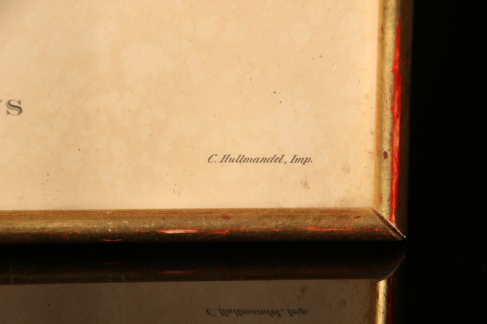 John et Elizabeth Gould Lithographie d'un Platycercus Flaveolus – Image 3