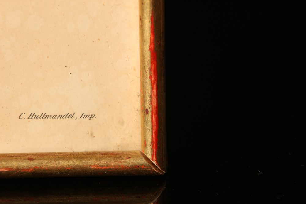 John et Elizabeth Gould Lithographie d'un Platycercus Flaveolus – Image 8