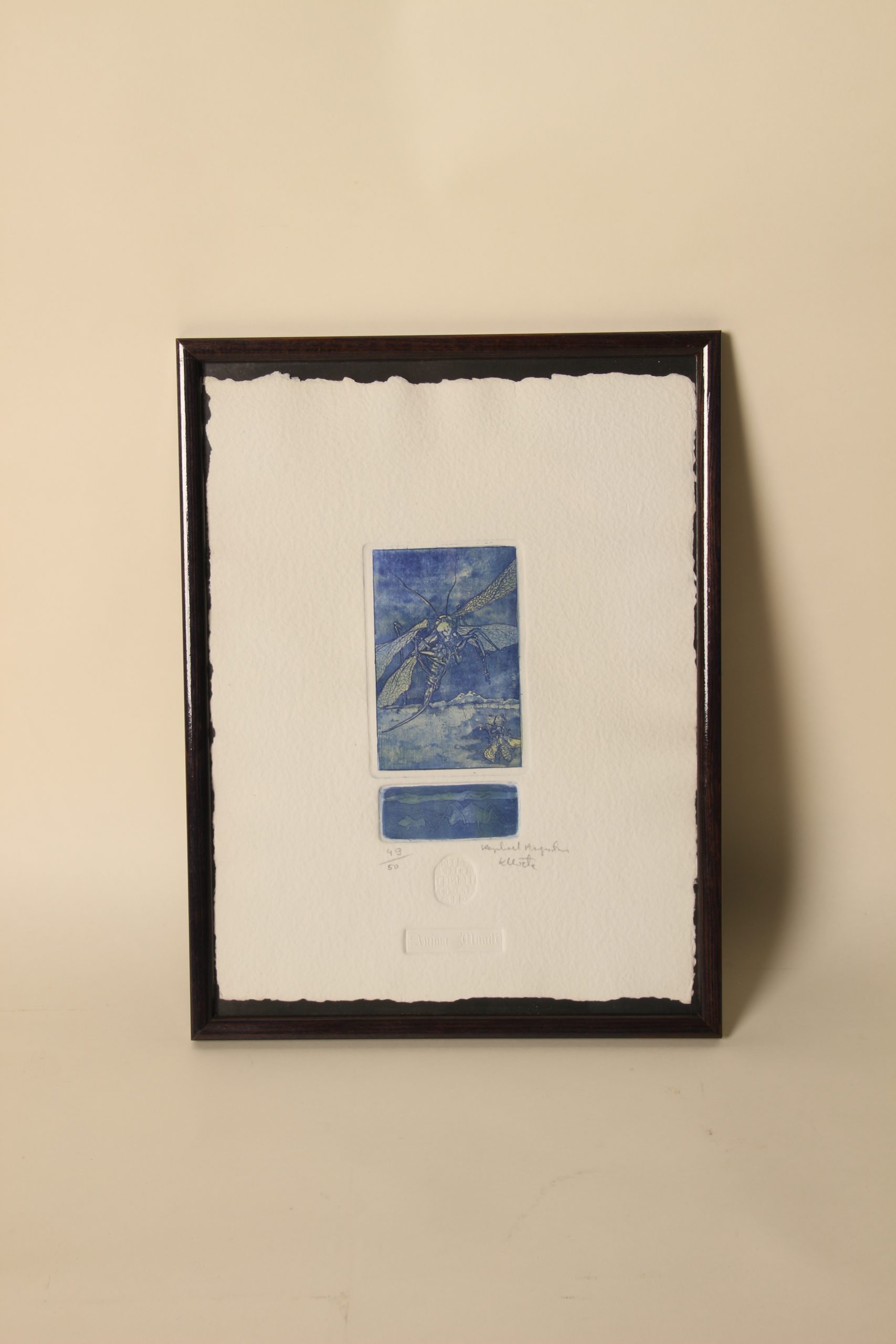 Raphael Augustinus Kleweta Estampe sur papier – Image 10