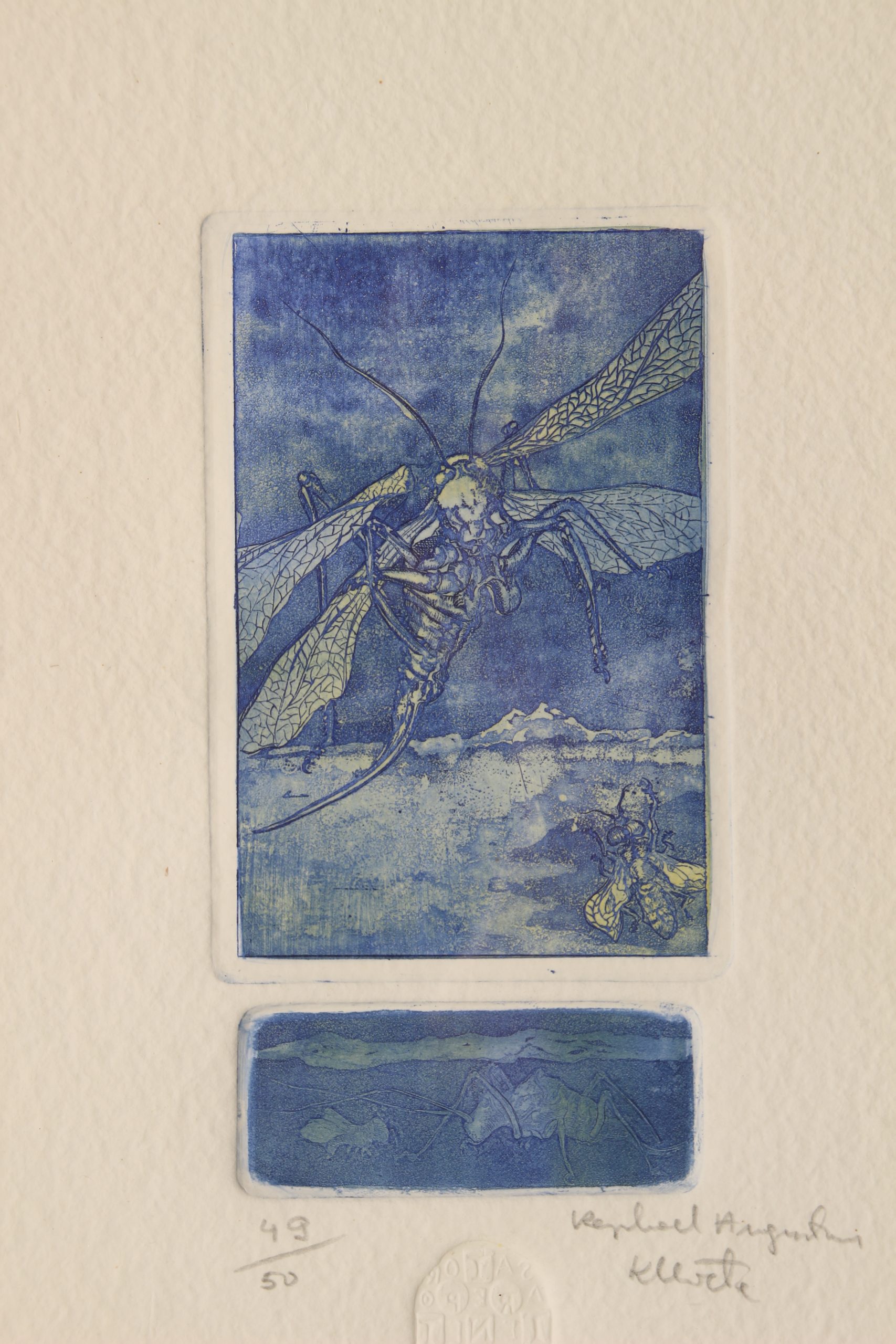 Raphael Augustinus Kleweta Estampe sur papier – Image 8