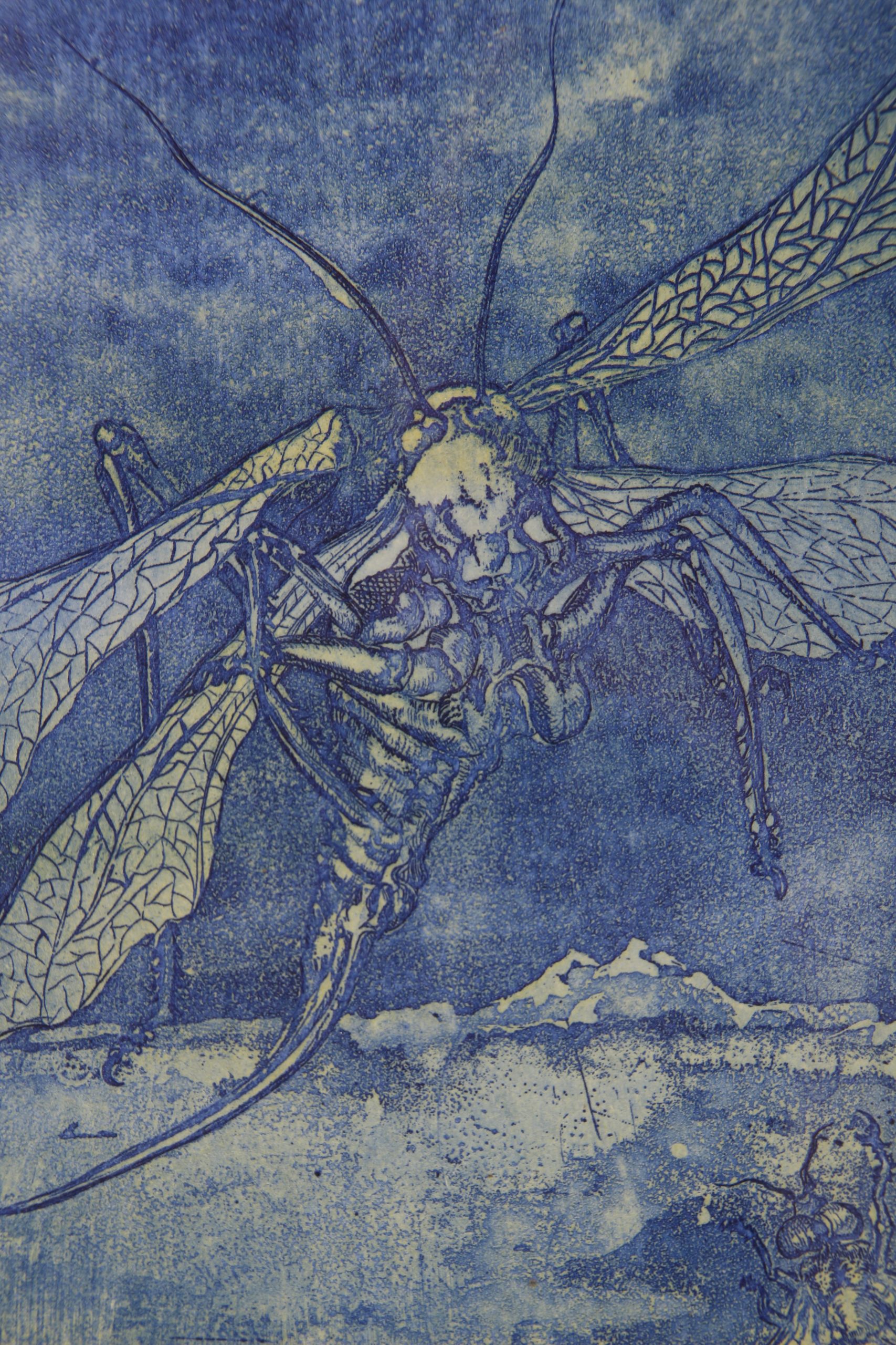 Raphael Augustinus Kleweta Estampe sur papier – Image 9