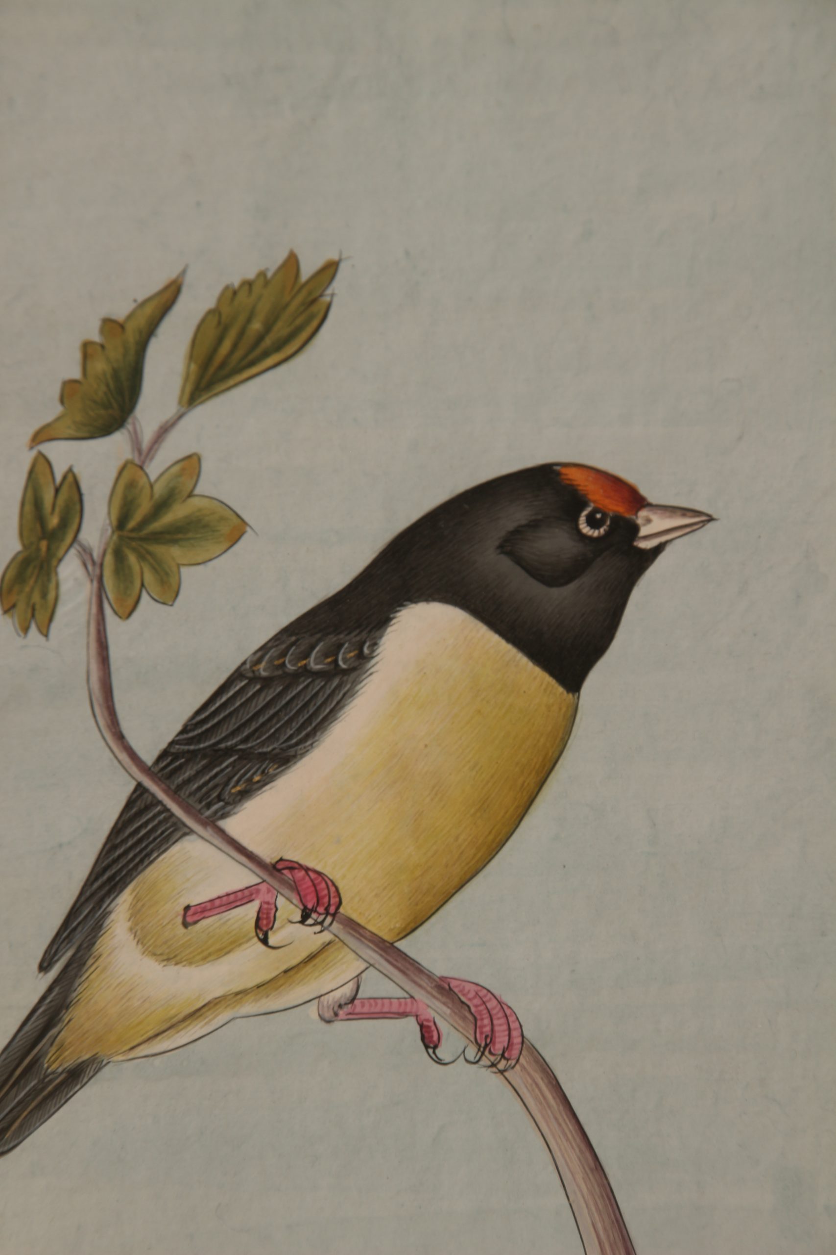 Lot de quatre aquarelles indiennes de Jaisalmer – Image 7